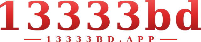 13333bd logo